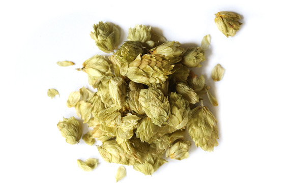 Organic Hops