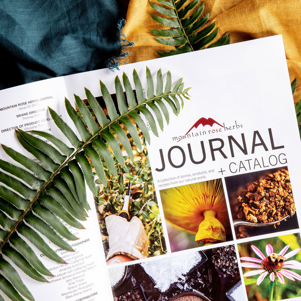 preview of journal