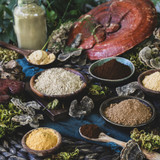 Lion's Mane Extract Powder2