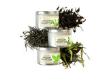 Oregon Trio Tea Sampler
